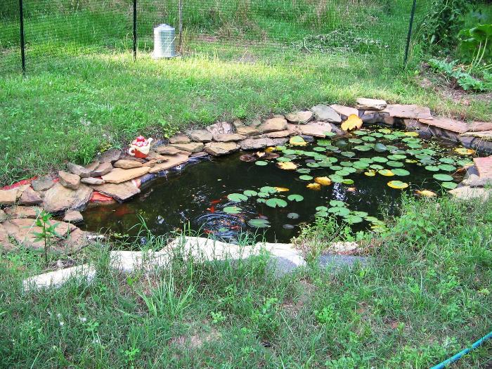 Pond2