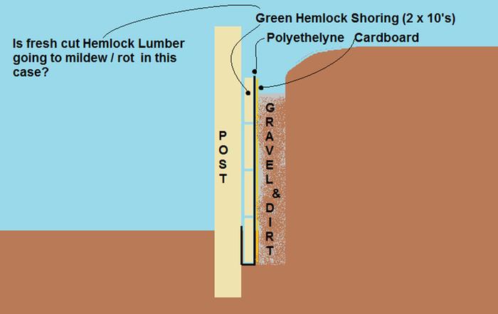 green hemlock shoring