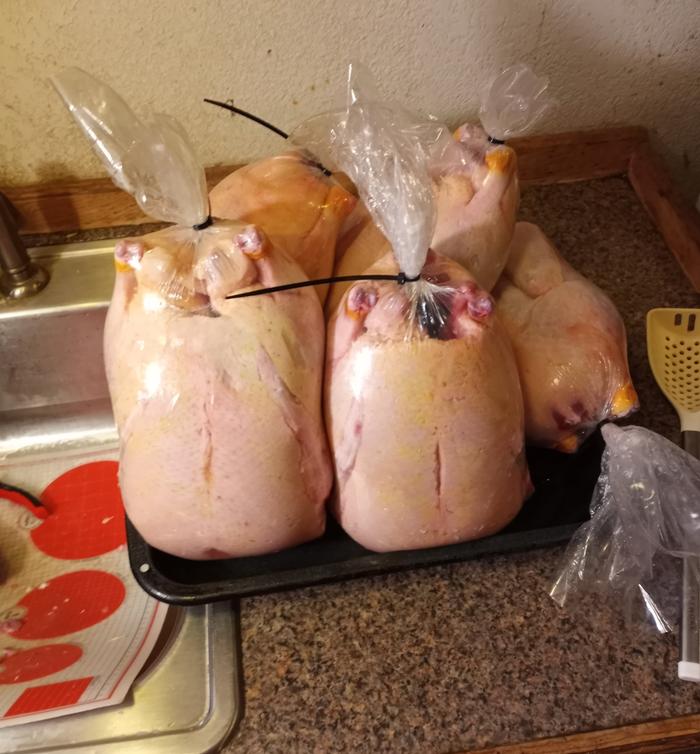 Here are few of the ducks thet I got the fat from ,ready for the freezer.