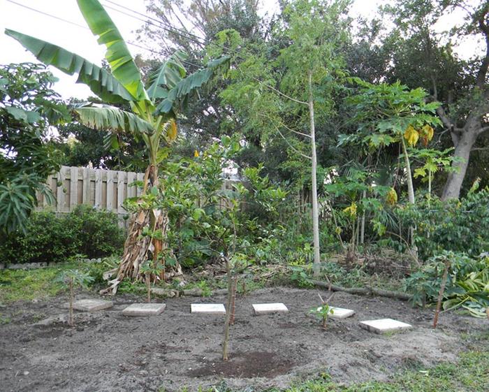 South Florida Food Forest