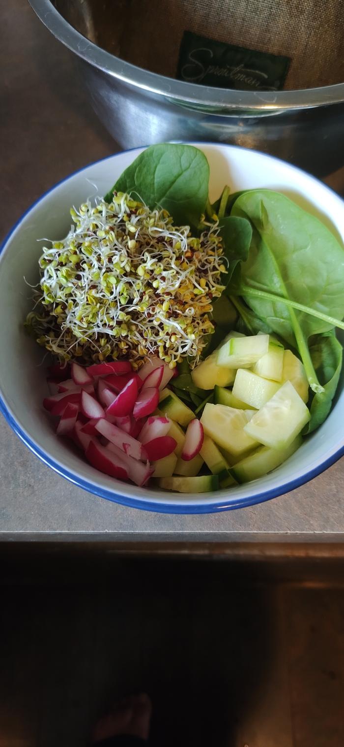 [Thumbnail for Sprouted-Broccoli-seeds-in-a-buddha-bowl-salad.jpg]