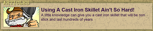 [Thumbnail for cast-iron-520.png]