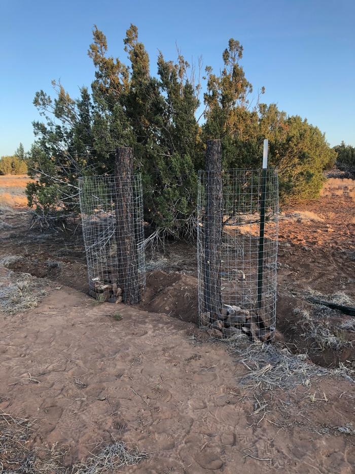 future garden area in Arizona