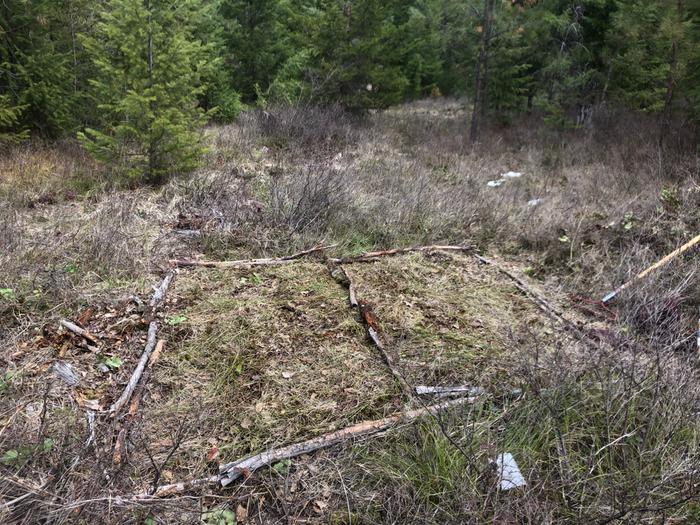 Went up to my plot and cleared away a small section to plant some flax for fiber. This spot will get lots of southern exposure, and I’ll do another small patch in a shade spot to see which has better results. 