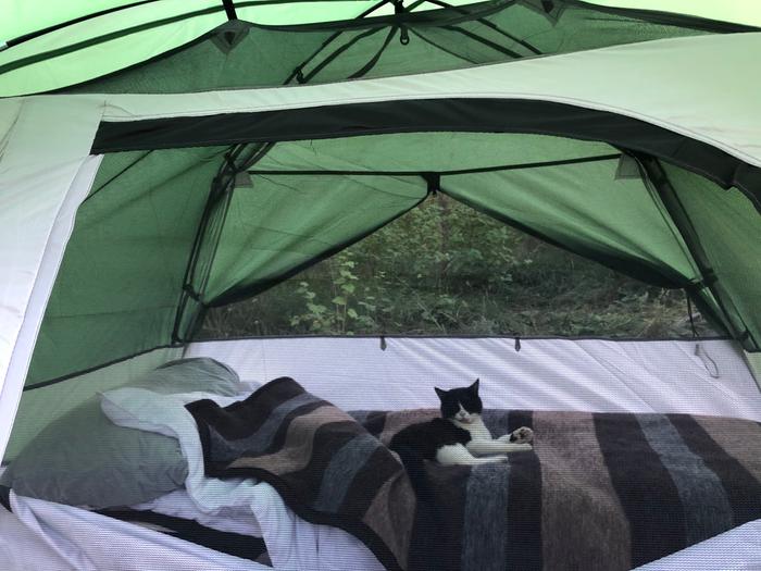 I upgraded to a new and larger tent, black spark is satisfied 