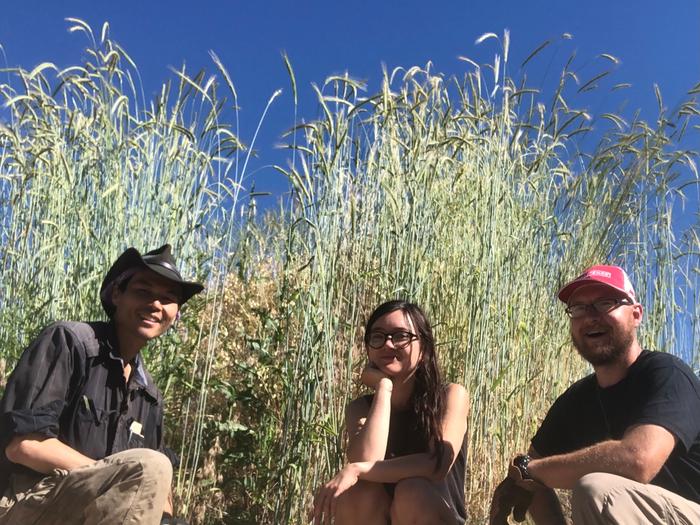 Group photo in front of the sepp holzer grain on top of the greenhouse 