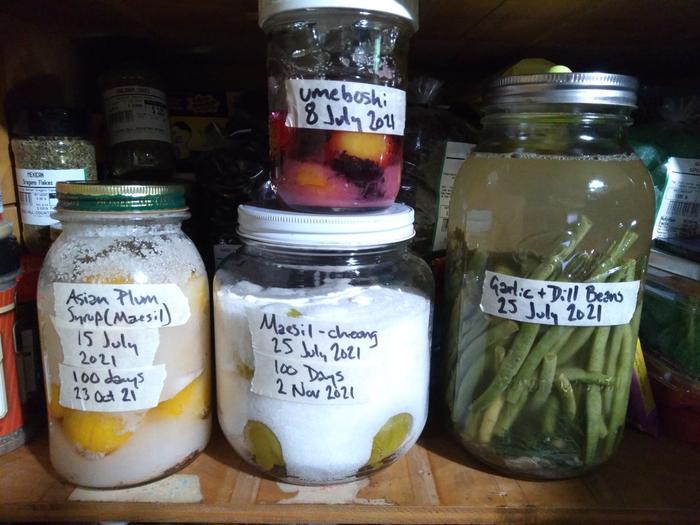 maesil-cheong, umeboshi, & fermenting beans