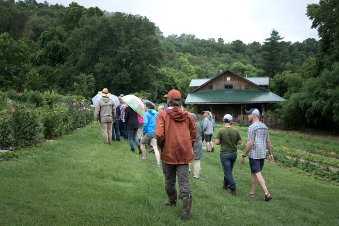 Cut flower workshop and garden tour on farm I interned at