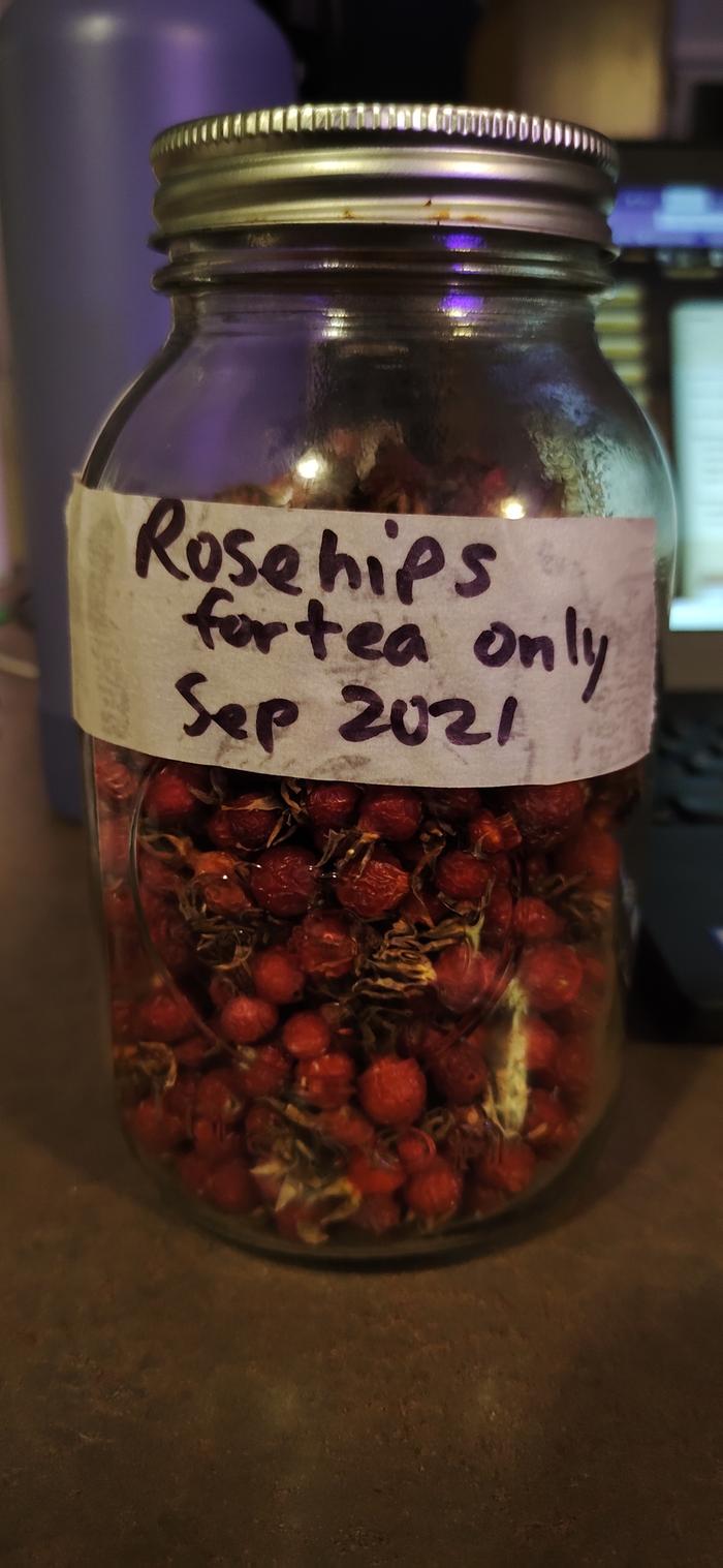 [Thumbnail for 1-Dried-rosehips.jpg]