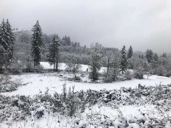 Winter in Pacific Northwest