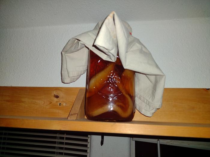 Kombucha