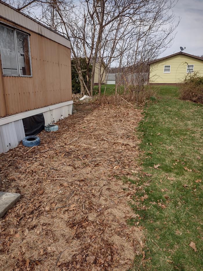 permaculture-yard-leaves-hay-mulch