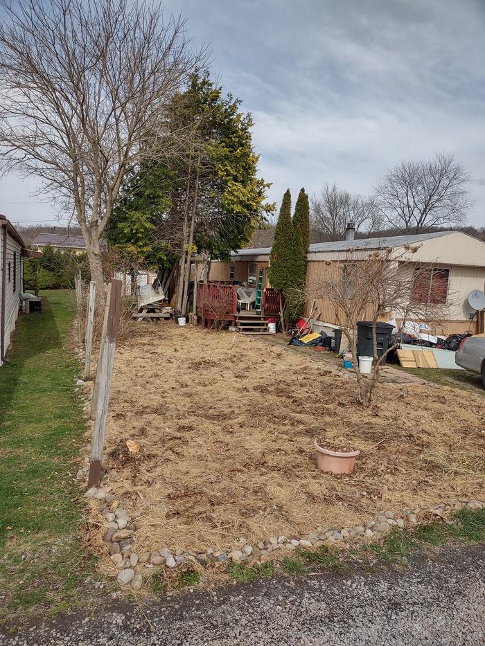 permaculture-yard-leaves-hay-mulch