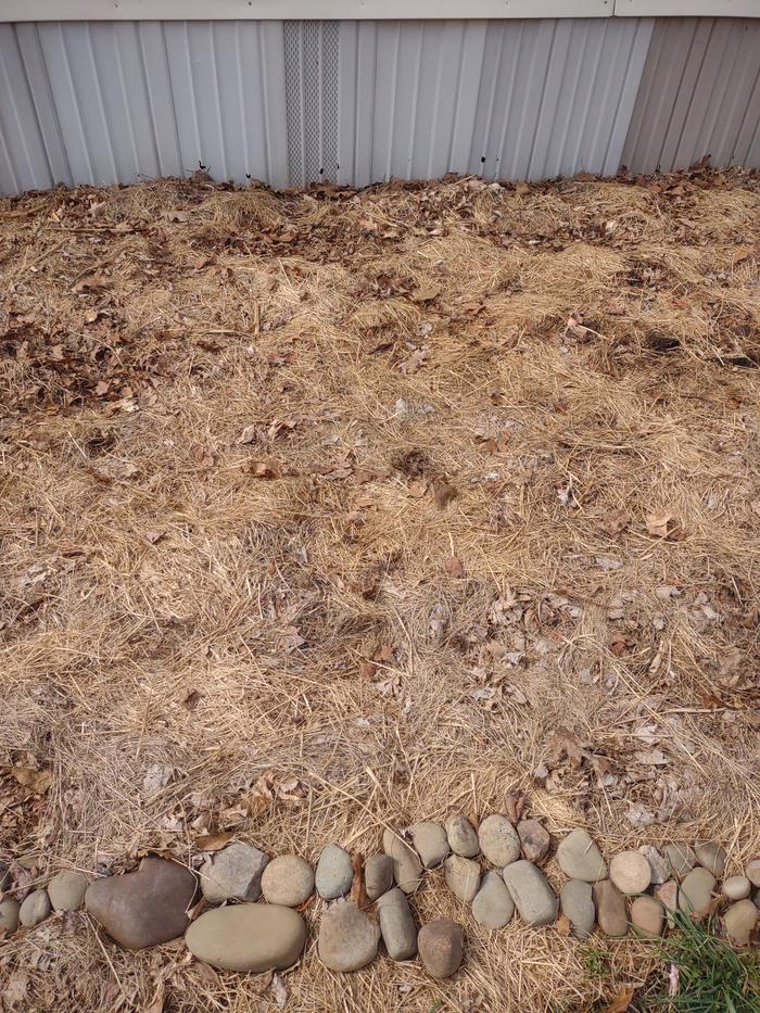 direct-seeding-in-hay-mulch