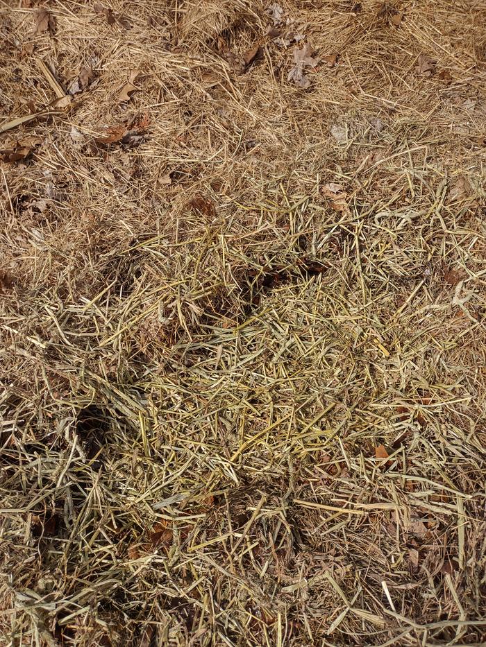 hay-mulch