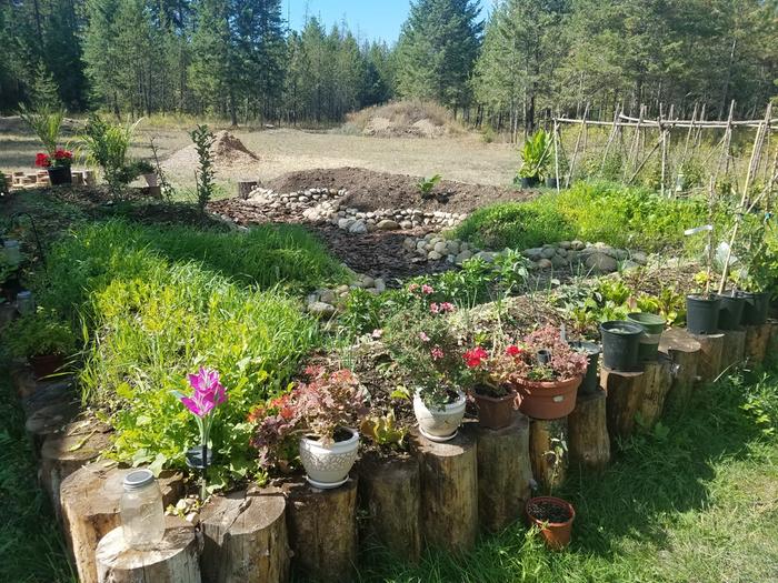 Kitchen Garden