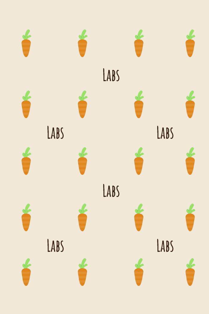 Wheaton Labs cell phone wallpaper w/ tan and carrots