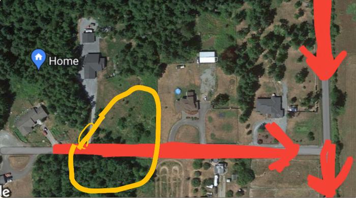 The yellow line is approximately the boundaries of the wetland 