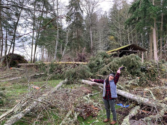 ALL of those trees eventually came down!