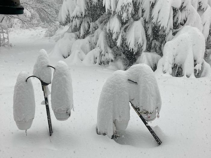 Shepherd's hooks w/hanging baskets. The tilt isn't due to the snow.