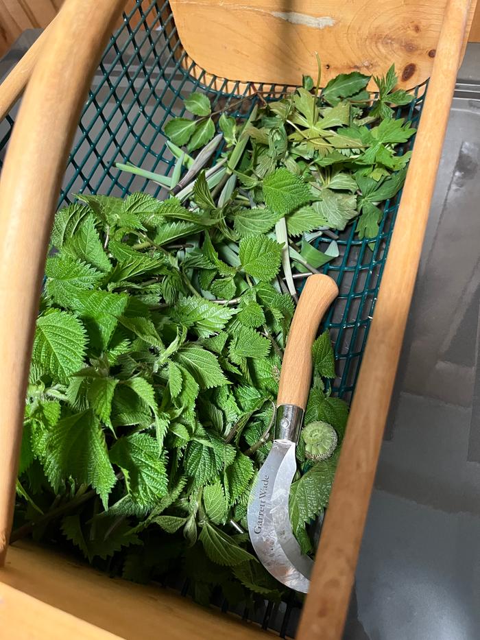 harvest knife and basket