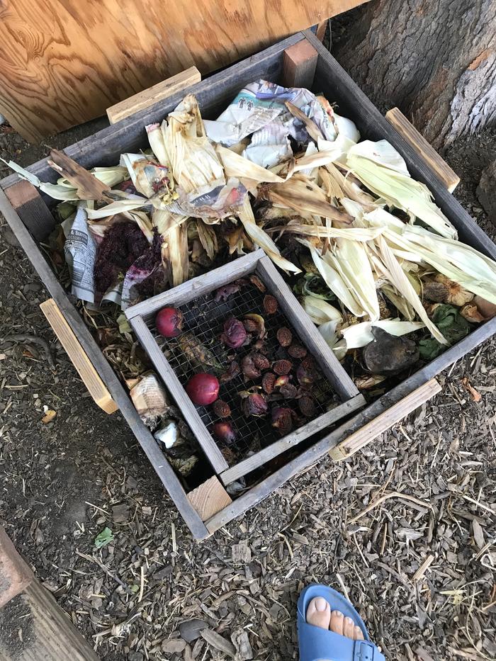 The additional screen in the bin holds rotten stone fruit. Makes it easy to remove the pits after the worms clean them so I can then pyrolize them for biochar.