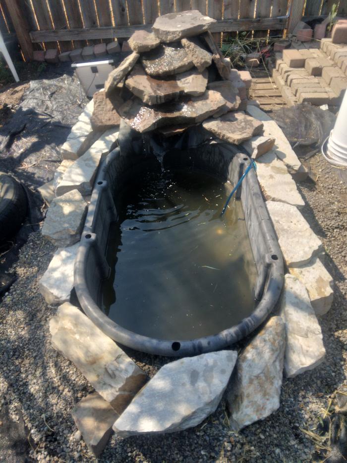 new, stock-tank pond