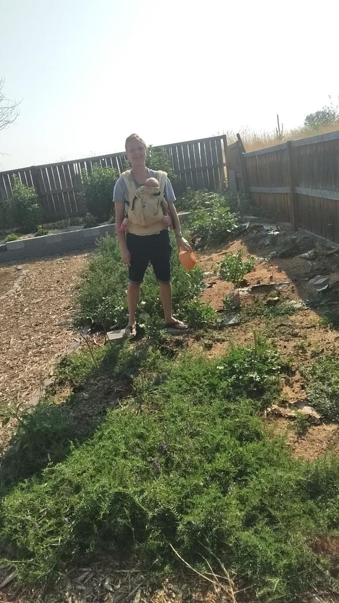 the baby and I, standing in the flower garden, admiring the tree zee bo