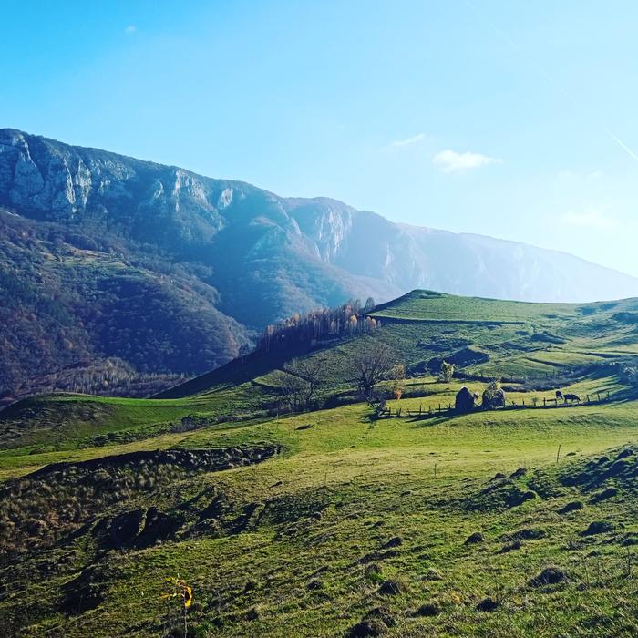 Carpathian-mountains