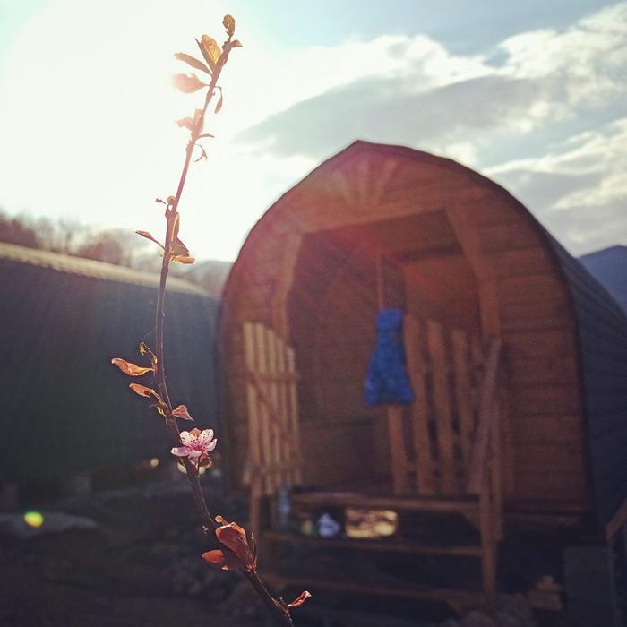 tiny-house-off-grid-carpathian-mountains