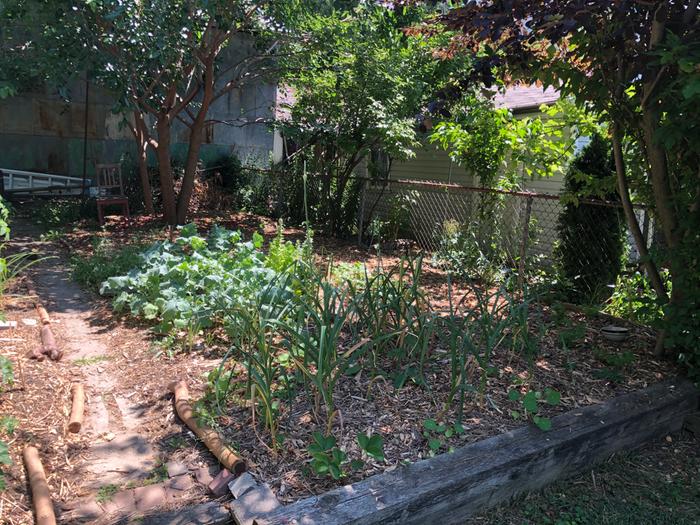 July 2022: Garlic, strawberries, brassicas and herbs. We tried to sow beets along the fence but none of them took. May try transplants this year.