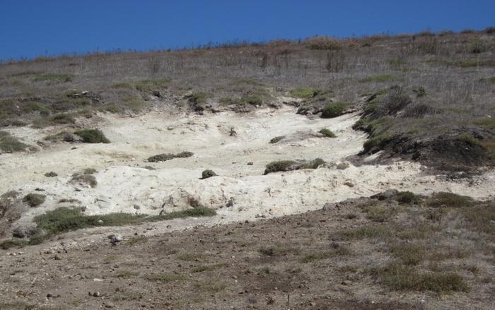 Diatomaceous Earth on Santa Cruz Island