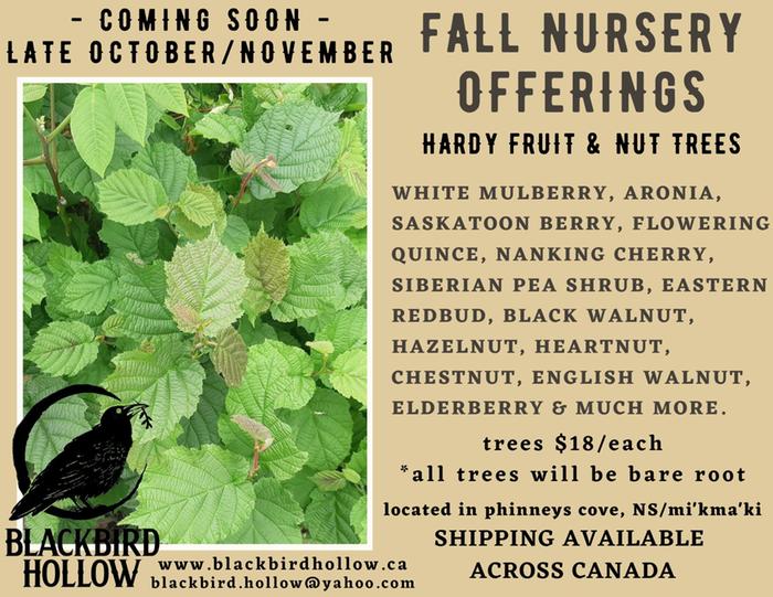 [Thumbnail for Copy-of-fall-nursery-offerings.jpg]