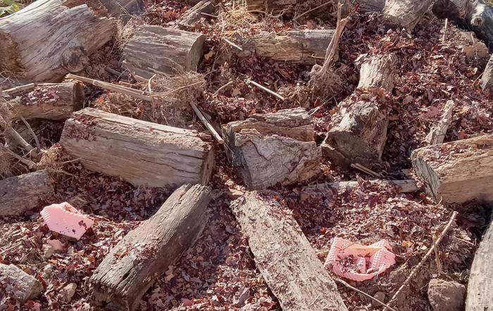 Stored in ground topped with logs and leaves for chicken proof and moisture retention 