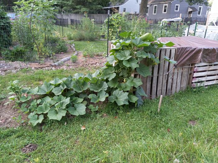 Here is a picture of the compost system during our first year here.