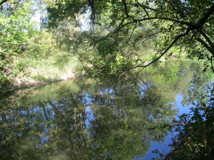 a beautiful environment beside a river.