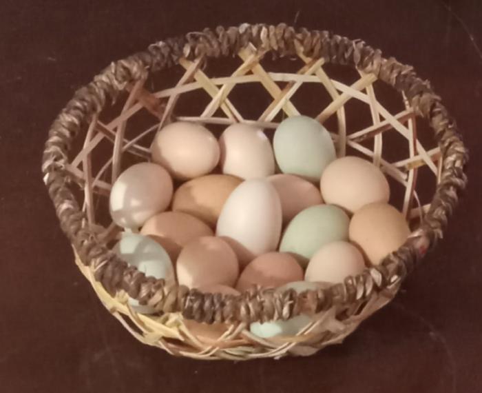 Egg basket