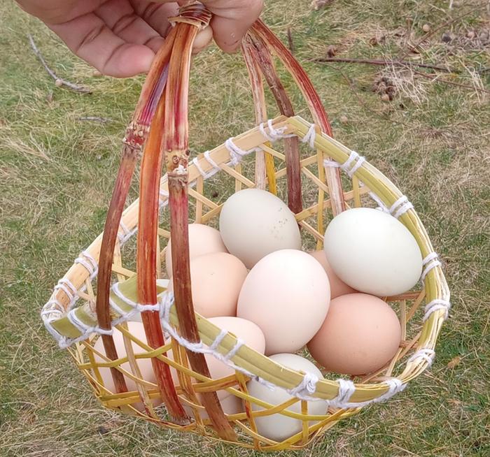 Egg basket made from broomcorn stalk