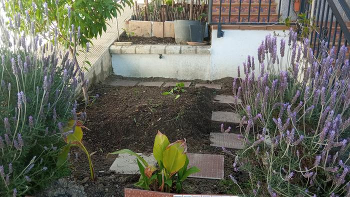 sloped flower bed 04