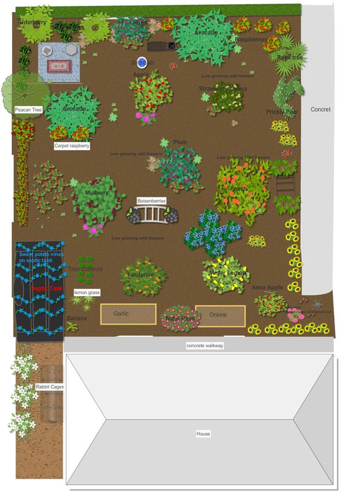 Food forest design