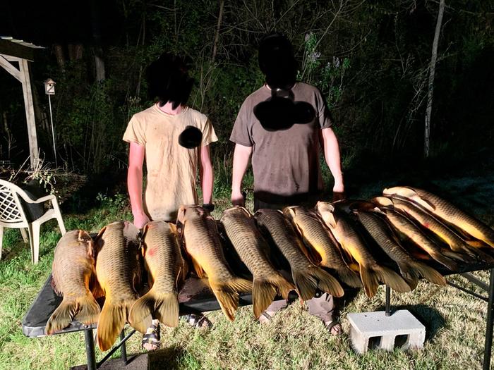 A whole bunch of carp fish on a table with the proud fishermen behind