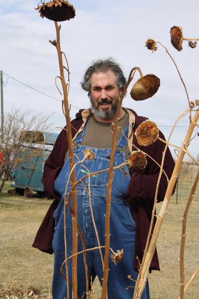 paul wheaton standing behind sunflowers wearing overalls