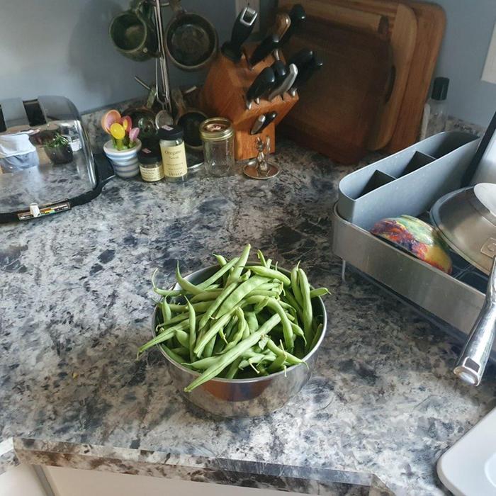 nice to have homegrown veggies just outside the back door