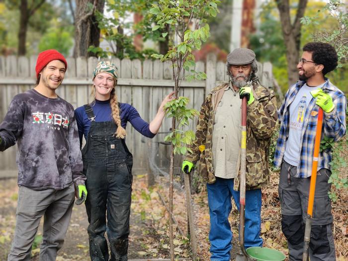 planting trees