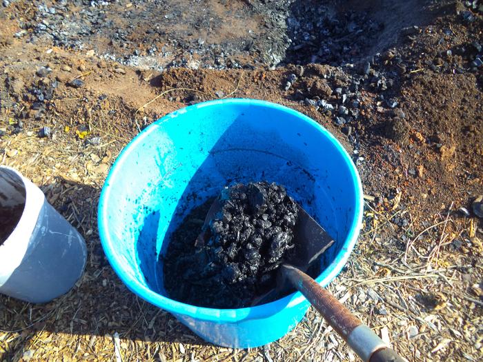 scooping out the biochar and dunking in water