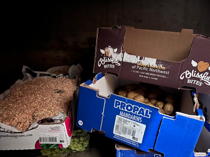 storing root crops crawl space cellar