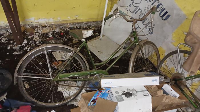 Dirty old Schwinn Breeze bike