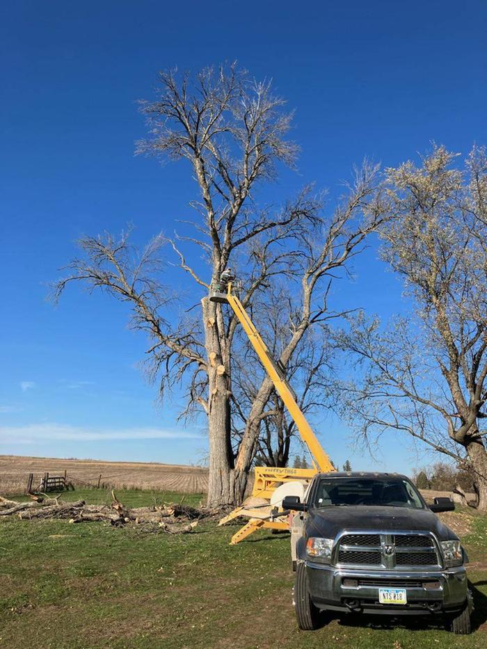 lift for harvesting big firewood