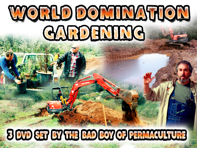 [Thumbnail for gardening-hugelkultur.jpg]