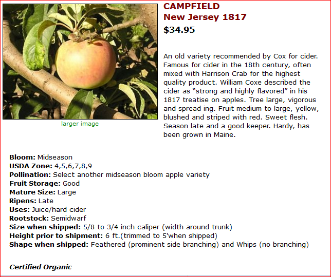 [Thumbnail for APPLE-Campfield.PNG]